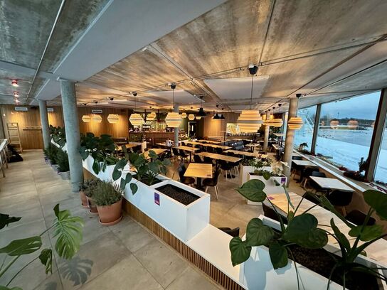 UDLEVERINGEN SKAL OVERHOLDES - LÆS DENNE BESKRIVELSEN INDEN DU BYDER PÅ DENNE AUKTION