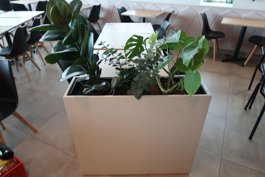 Plantekasse på hjul