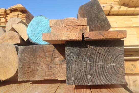 Parti blandet Lærk/Douglas/Robinie