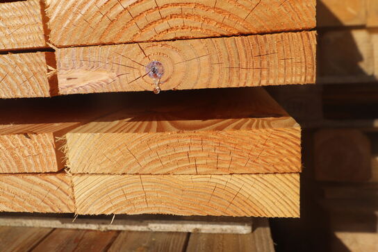 Parti blandet Lærk/Douglas/Robinie