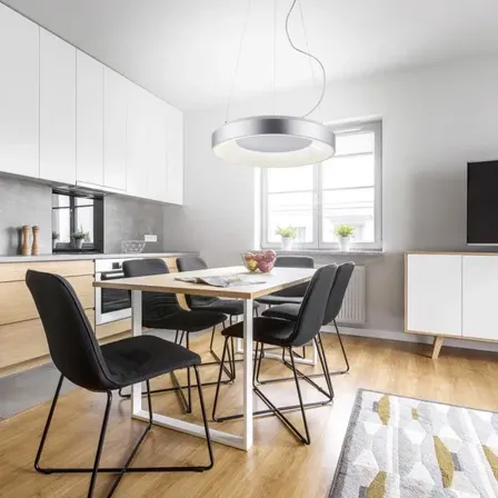 Paul neuhaus led pendel app remote 48 cm(ubrugt)