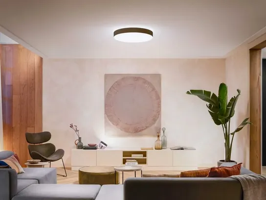 Philips hue enrave loftlampe  ø55,1cm - sort(ubrugt)