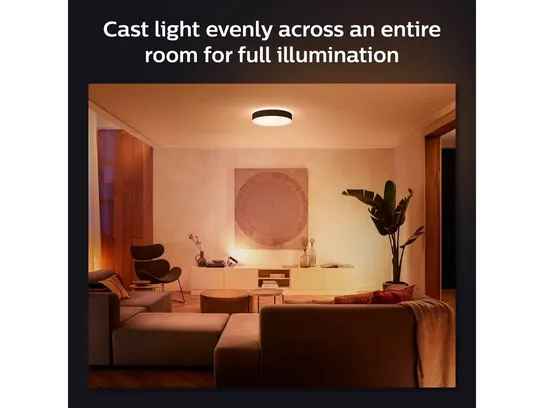 Philips hue enrave loftlampe  ø55,1cm - sort(ubrugt)