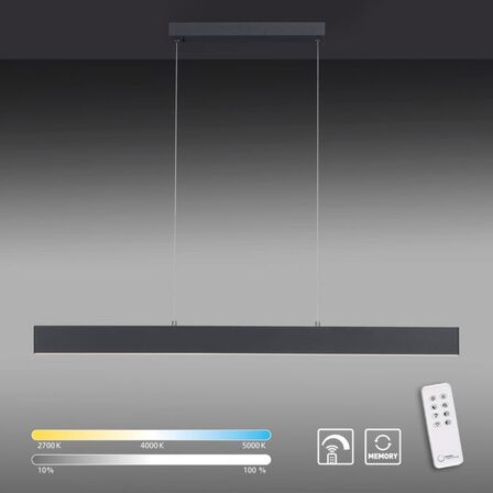 Paul neuhaus q-nila2 langbordspendel antracit m. remote(ubrugt)