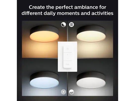 Philips hue enrave loftlampe  ø55,1cm - sort(ubrugt)