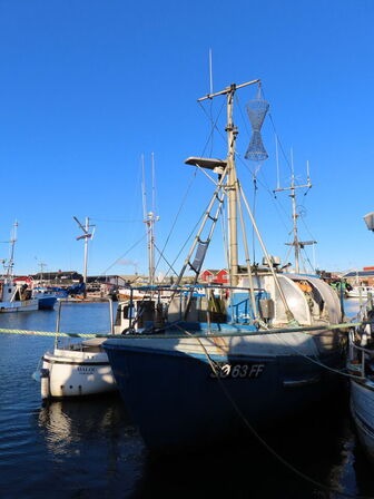 37 fod hæktrawler/fiskefartøj, glasfiber årgang 1975