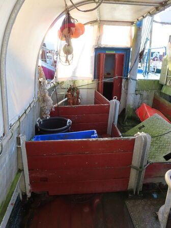 37 fod hæktrawler/fiskefartøj, glasfiber årgang 1975