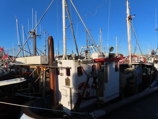 43 fod trawler/fiskefartøj, eg på eg årgang 1966