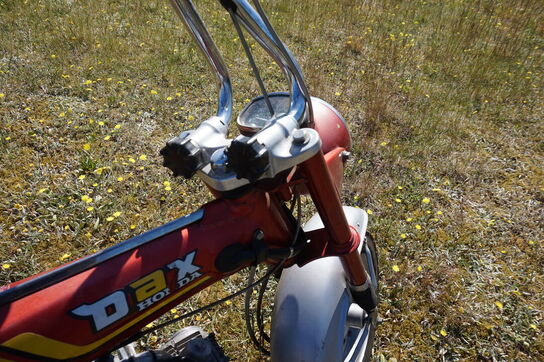 Honda Dax ST50 (MOMSFRI)