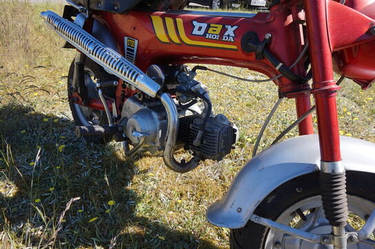 Honda Dax ST50 (MOMSFRI)