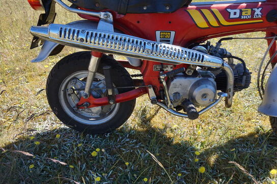 Honda Dax ST50 (MOMSFRI)