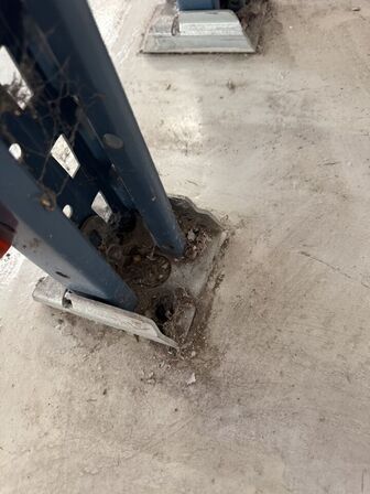 Pallereol