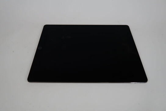 iPad Pro 12.9 (2. gen) Wi-Fi + cellular 512 GB