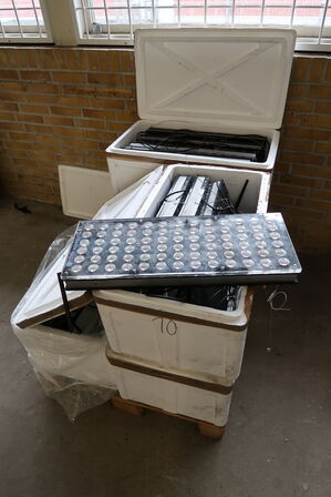 16 stk. LED Koral-lamper ORPHEK Atlantik V4