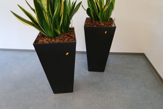2 stk. planter i krukke