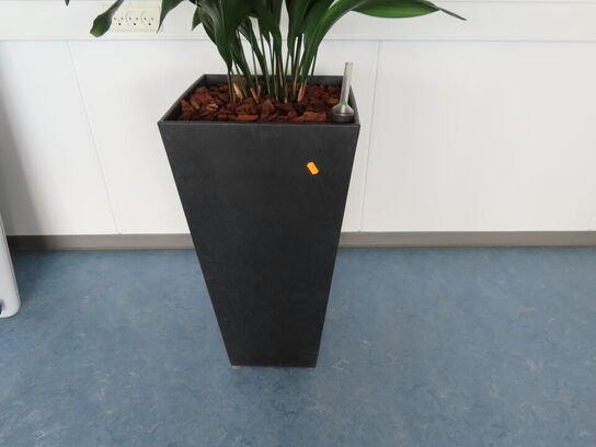 Plante i krukke