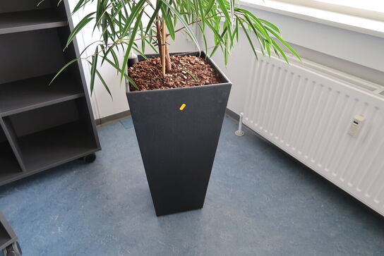 2 stk. planter i krukke