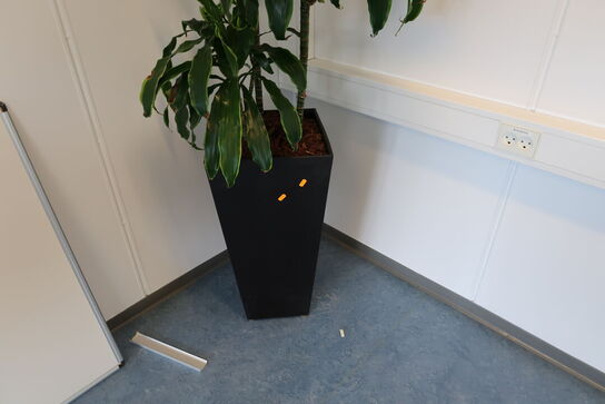 2 stk. planter i krukke