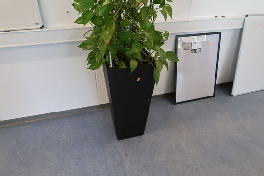2 stk. planter i krukke