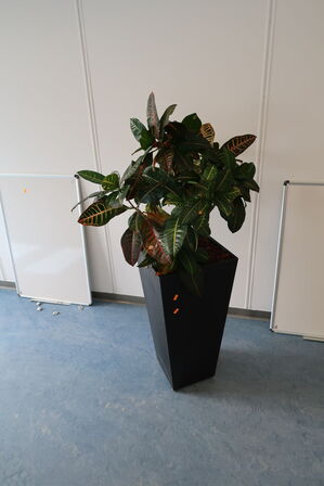 2 stk. planter i krukke