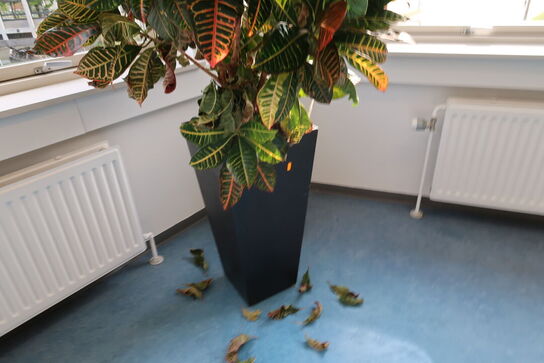 2 stk. planter i krukke