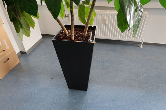 Plante i krukke