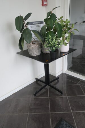 Bord med div. Planter