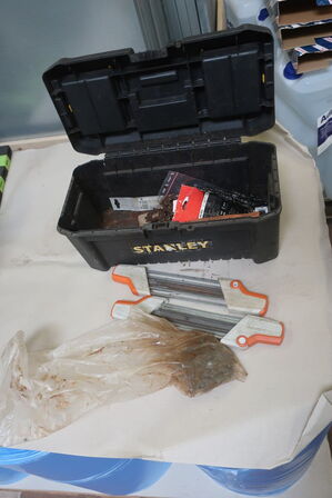 Motorsav HUSQVARNA 445 med dunk og tilbehør