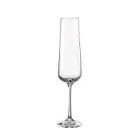 48 stk. Champagneglas krystal 20 cl Sandra