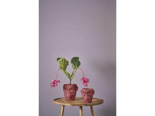 94 stk. Skjuler Calbe Gorilla D22x22 Rødbrun Cement