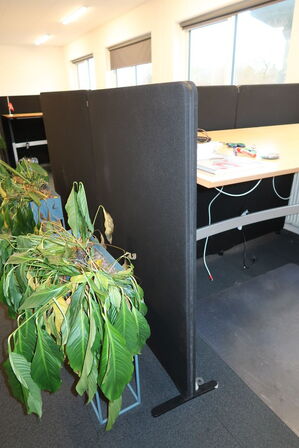 4 stk. afskærmningsvægge