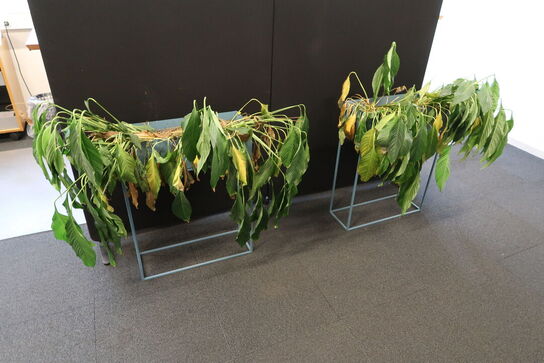 2 stk. planteopsatser med planter