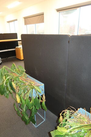 4 stk. afskærmningsvægge