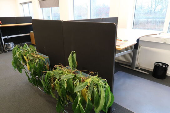 4 stk. afskærmningsvægge