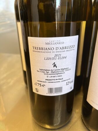 10 flasker hvidvin TREBBIANO D´ABRUZZO 2021