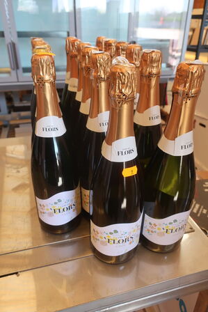 17 flasker champagne CAMI DE FLORS CAVA BRUT