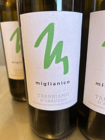 10 flasker hvidvin TREBBIANO D´ABRUZZO 2021