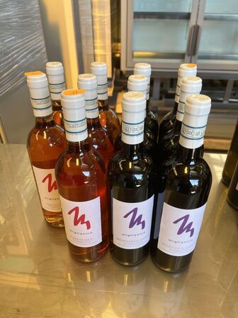 11 flasker rosé og rødvin MONTEPULCIANO D´ABRUZZO 2021
