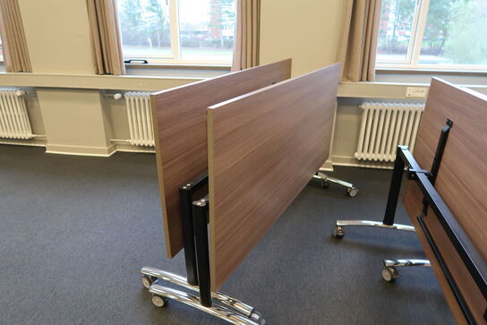 Bord samt 2 stk. klapborde