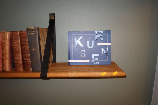 Væghylde med div. Bøger