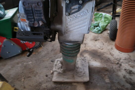 Stamper WACKER NEUSON BS50-4