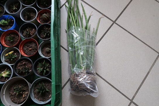 Diverse planter