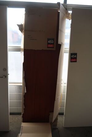 Skydedørsplade, Mahogni - 63x200 cm 