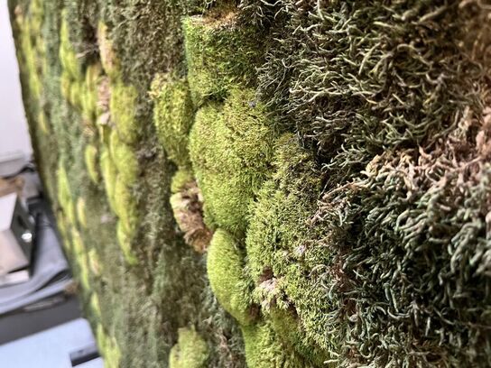 Skillevæg m. Natur udsmykning 