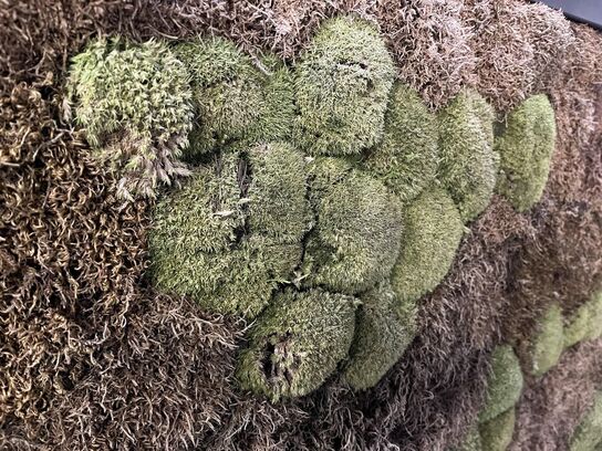 Skillevæg m. Natur udsmykning 