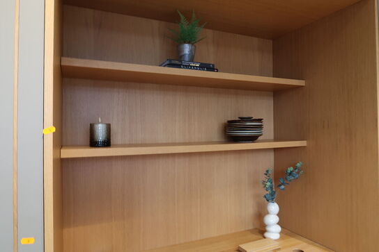 Køkkenvæg/element FORM PLUS+