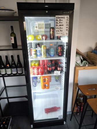 Køleskab TEFCOLDCEV425-I