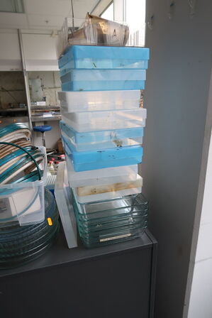 Div. Laboratorieudstyr