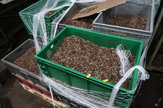 Stige samt paller med indhold