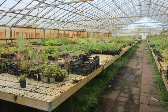 22 stk. Vandingsborde til venstre i drivhuset